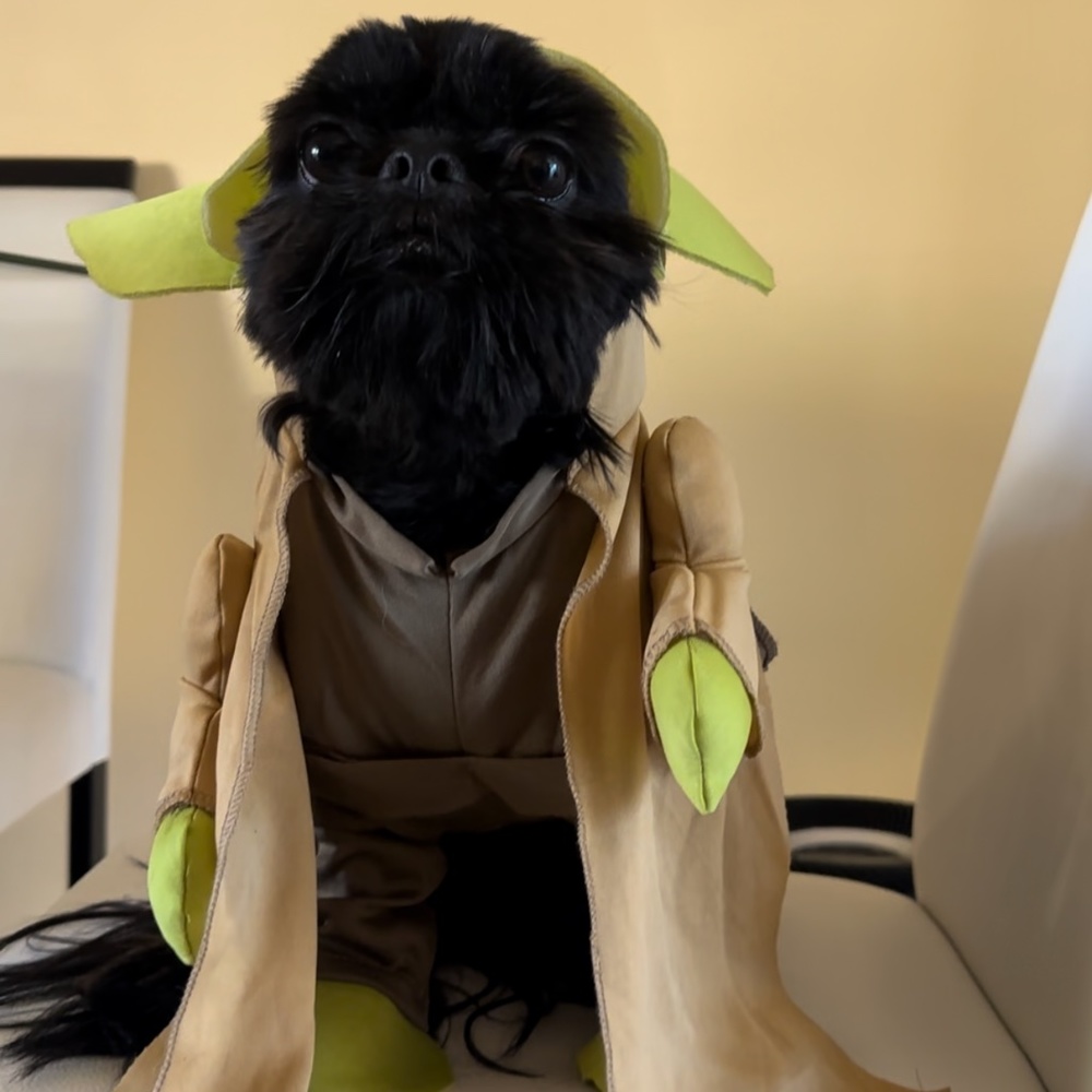 Yoda costume size medium